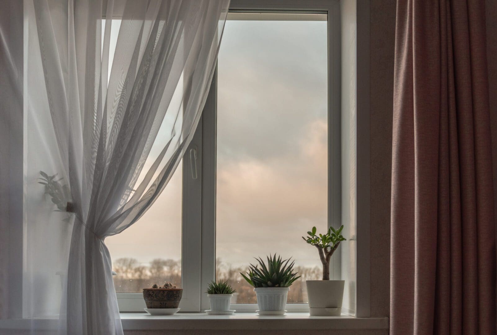 Sheer curtains framing succulents on windowsill