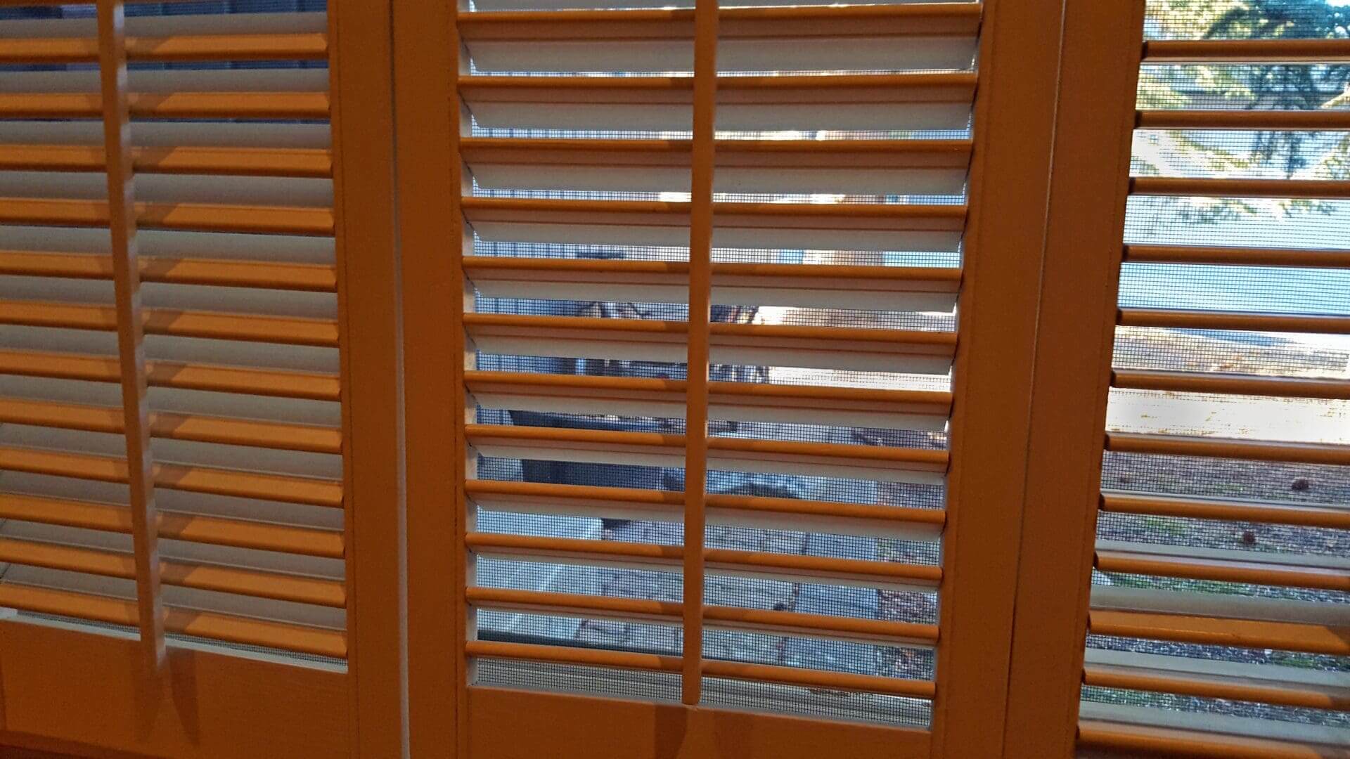 Louvered wooden shutters overlooking backyard pool